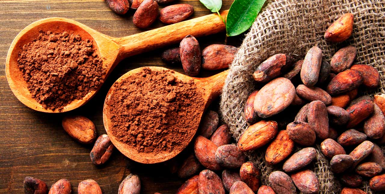 Но почему же у Майя так высоко ценились плоды деревьев какао?