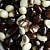 Семена тыквы в белом, молочном и тёмном шоколаде